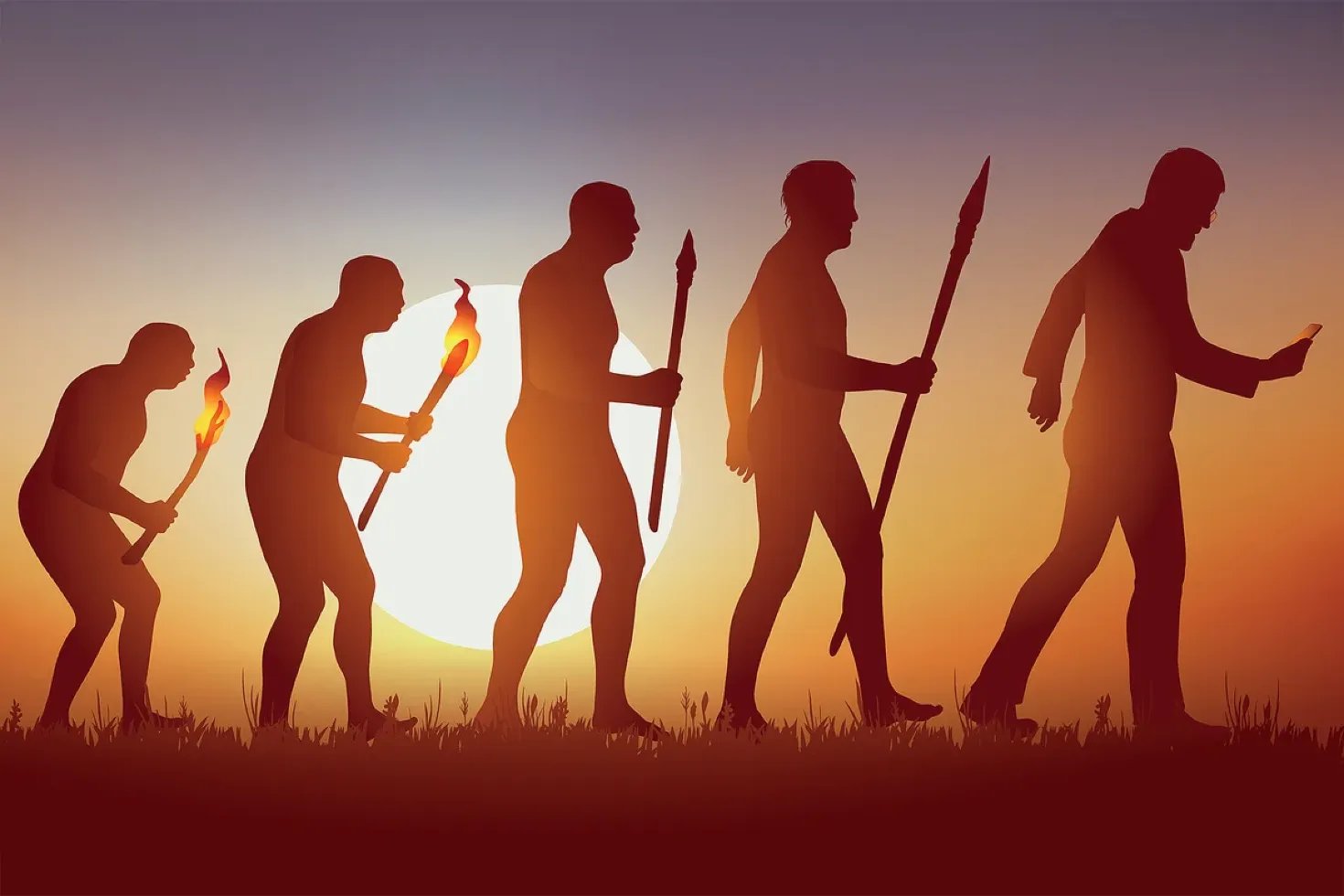 Evolution